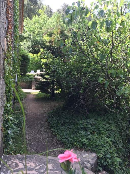 Grande Maison Familiale En Pierres Sud Ardeche Lalevade-dʼArdèche 외부 사진